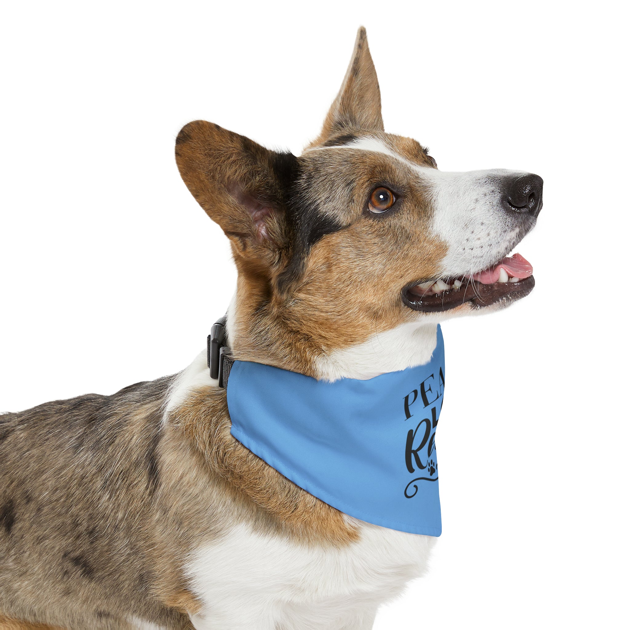 Pet Bandana Collar