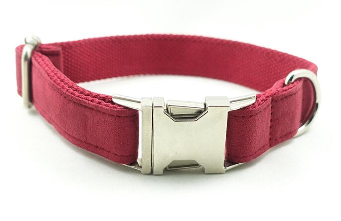 Pet Traction Collar Dog Collar